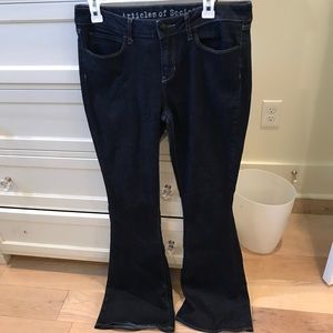 Articles of Society flared jeans
